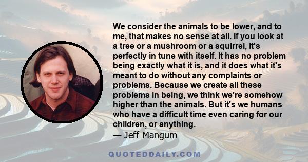 We consider the animals to be lower, and to me, that makes no sense at all. If you look at a tree or a mushroom or a squirrel, it's perfectly in tune with itself. It has no problem being exactly what it is, and it does