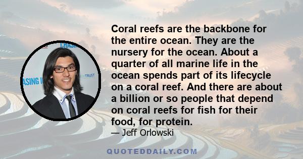 Coral reefs are the backbone for the entire ocean. They are the nursery for the ocean. About a quarter of all marine life in the ocean spends part of its lifecycle on a coral reef. And there are about a billion or so