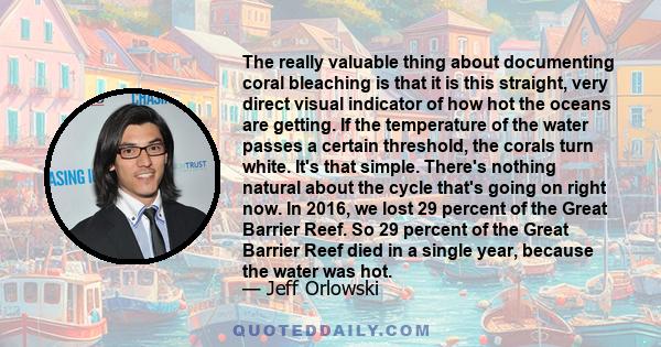 The really valuable thing about documenting coral bleaching is that it is this straight, very direct visual indicator of how hot the oceans are getting. If the temperature of the water passes a certain threshold, the