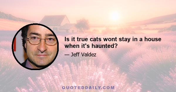 Is it true cats wont stay in a house when it's haunted?