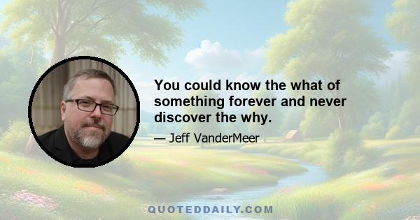 You could know the what of something forever and never discover the why.