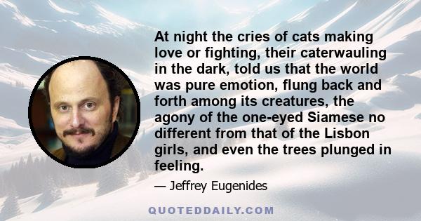 At night the cries of cats making love or fighting, their caterwauling in the dark, told us that the world was pure emotion, flung back and forth among its creatures, the agony of the one-eyed Siamese no different from