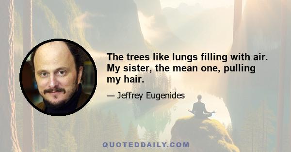 The trees like lungs filling with air. My sister, the mean one, pulling my hair.