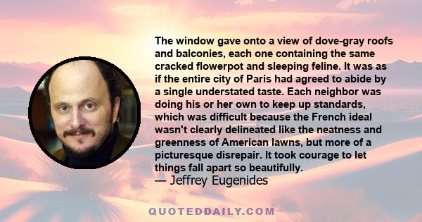 The window gave onto a view of dove-gray roofs and balconies, each one containing the same cracked flowerpot and sleeping feline. It was as if the entire city of Paris had agreed to abide by a single understated taste.