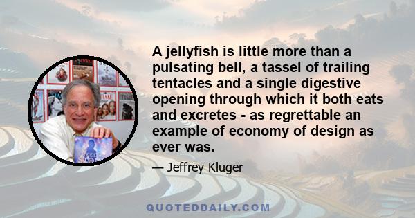 A jellyfish is little more than a pulsating bell, a tassel of trailing tentacles and a single digestive opening through which it both eats and excretes - as regrettable an example of economy of design as ever was.