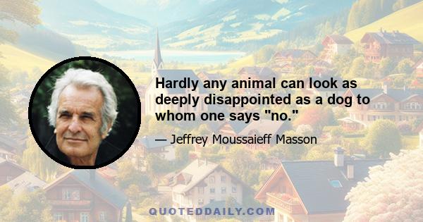 Hardly any animal can look as deeply disappointed as a dog to whom one says no.