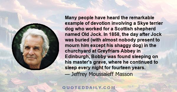 Many people have heard the remarkable example of devotion involving a Skye terrier dog who worked for a Scottish shepherd named Old Jock. In 1858, the day after Jock was buried (with almost nobody present to mourn him