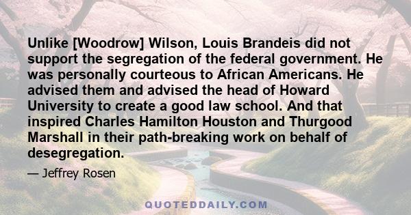 Unlike [Woodrow] Wilson, Louis Brandeis did not support the segregation of the federal government. He was personally courteous to African Americans. He advised them and advised the head of Howard University to create a