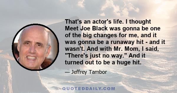 That's an actor's life. I thought Meet Joe Black was gonna be one of the big changes for me, and it was gonna be a runaway hit - and it wasn't. And with Mr. Mom, I said, There's just no way. And it turned out to be a