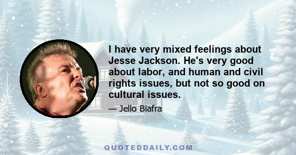 I have very mixed feelings about Jesse Jackson. He's very good about labor, and human and civil rights issues, but not so good on cultural issues.