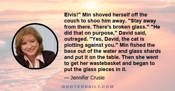 Elvis! Min shoved herself off the couch to shoo him away. Stay away from there. There's broken glass. He did that on purpose, David said, outraged. Yes, David, the cat is plotting against you. Min fished the base out of 