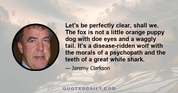 Let's be perfectly clear, shall we. The fox is not a little orange puppy dog with doe eyes and a waggly tail. It's a disease-ridden wolf with the morals of a psychopath and the teeth of a great white shark.