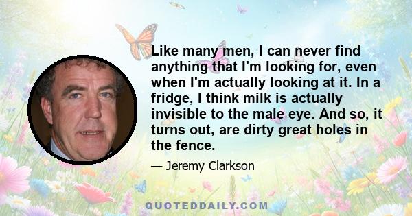 Like many men, I can never find anything that I'm looking for, even when I'm actually looking at it. In a fridge, I think milk is actually invisible to the male eye. And so, it turns out, are dirty great holes in the