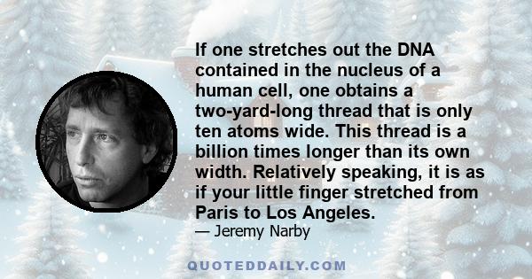 If one stretches out the DNA contained in the nucleus of a human cell, one obtains a two-yard-long thread that is only ten atoms wide. This thread is a billion times longer than its own width. Relatively speaking, it is 