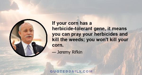 If your corn has a herbicide-tolerant gene, it means you can pray your herbicides and kill the weeds; you won't kill your corn.