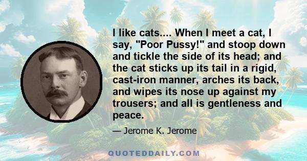 I like cats.... When I meet a cat, I say, Poor Pussy! and stoop down and tickle the side of its head; and the cat sticks up its tail in a rigid, cast-iron manner, arches its back, and wipes its nose up against my