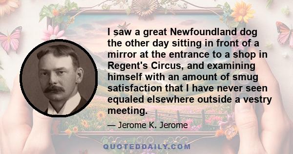 I saw a great Newfoundland dog the other day sitting in front of a mirror at the entrance to a shop in Regent's Circus, and examining himself with an amount of smug satisfaction that I have never seen equaled elsewhere