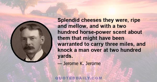 Splendid cheeses they were, ripe and mellow, and with a two hundred horse-power scent about them that might have been warranted to carry three miles, and knock a man over at two hundred yards.