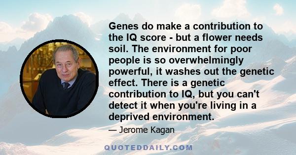 Genes do make a contribution to the IQ score - but a flower needs soil. The environment for poor people is so overwhelmingly powerful, it washes out the genetic effect. There is a genetic contribution to IQ, but you