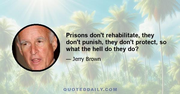 Prisons don't rehabilitate, they don't punish, they don't protect, so what the hell do they do?