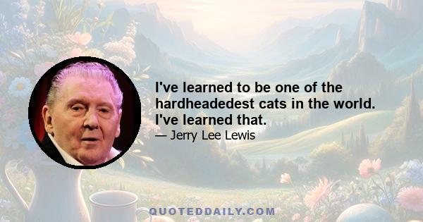 I've learned to be one of the hardheadedest cats in the world. I've learned that.