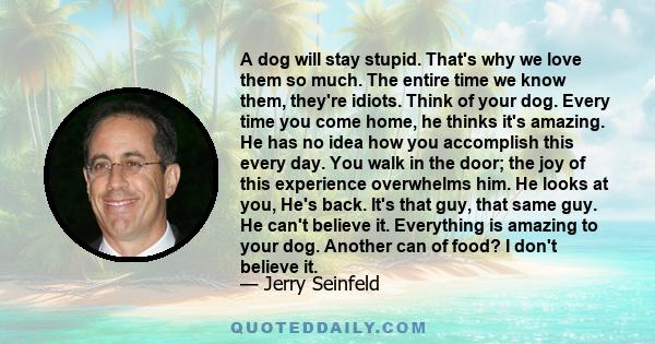 A dog will stay stupid. That's why we love them so much. The entire time we know them, they're idiots. Think of your dog. Every time you come home, he thinks it's amazing. He has no idea how you accomplish this every