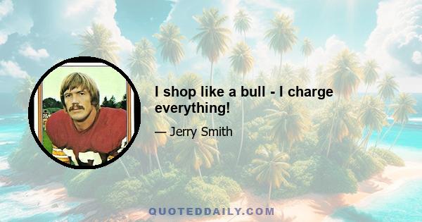 I shop like a bull - I charge everything!