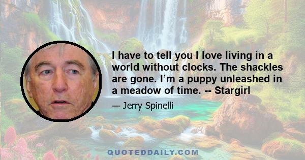 I have to tell you I love living in a world without clocks. The shackles are gone. I’m a puppy unleashed in a meadow of time. -- Stargirl