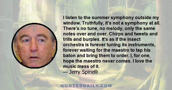 I listen to the summer symphony outside my window. Truthfully, it's not a symphony at all. There's no tune, no melody, only the same notes over and over. Chirps and tweets and trills and burples. It's as if the insect