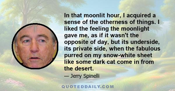 In that moonlit hour, I acquired a sense of the otherness of things. I liked the feeling the moonlight gave me, as if it wasn't the opposite of day, but its underside, its private side, when the fabulous purred on my