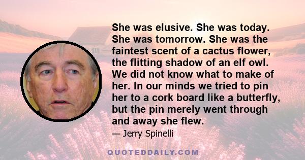 She was elusive. She was today. She was tomorrow. She was the faintest scent of a cactus flower, the flitting shadow of an elf owl. We did not know what to make of her. In our minds we tried to pin her to a cork board