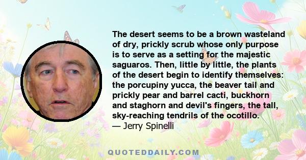 The desert seems to be a brown wasteland of dry, prickly scrub whose only purpose is to serve as a setting for the majestic saguaros. Then, little by little, the plants of the desert begin to identify themselves: the