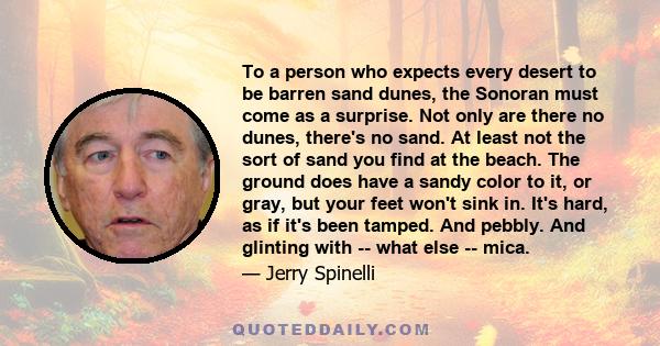 To a person who expects every desert to be barren sand dunes, the Sonoran must come as a surprise. Not only are there no dunes, there's no sand. At least not the sort of sand you find at the beach. The ground does have