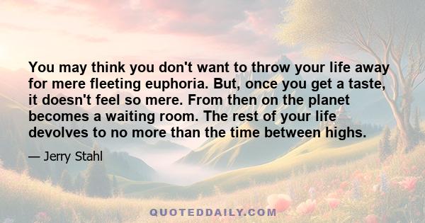 You may think you don't want to throw your life away for mere fleeting euphoria. But, once you get a taste, it doesn't feel so mere. From then on the planet becomes a waiting room. The rest of your life devolves to no