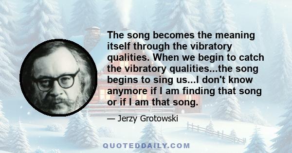 The song becomes the meaning itself through the vibratory qualities. When we begin to catch the vibratory qualities...the song begins to sing us...I don't know anymore if I am finding that song or if I am that song.