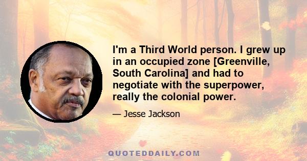 I'm a Third World person. I grew up in an occupied zone [Greenville, South Carolina] and had to negotiate with the superpower, really the colonial power.