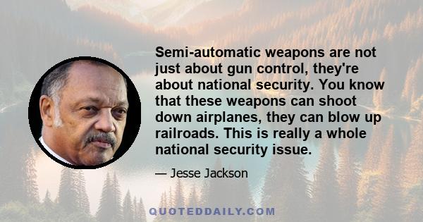 Semi-automatic weapons are not just about gun control, they're about national security. You know that these weapons can shoot down airplanes, they can blow up railroads. This is really a whole national security issue.