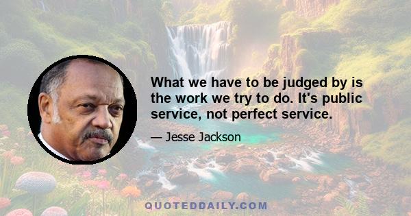 What we have to be judged by is the work we try to do. It's public service, not perfect service.