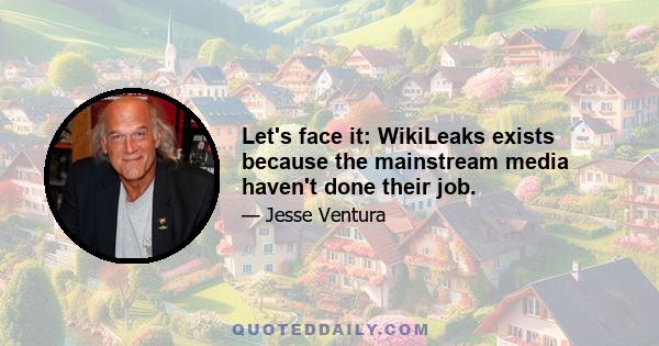 Let's face it: WikiLeaks exists because the mainstream media haven't done their job.