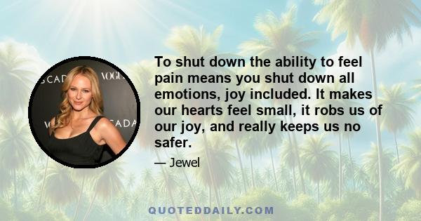 To shut down the ability to feel pain means you shut down all emotions, joy included. It makes our hearts feel small, it robs us of our joy, and really keeps us no safer.