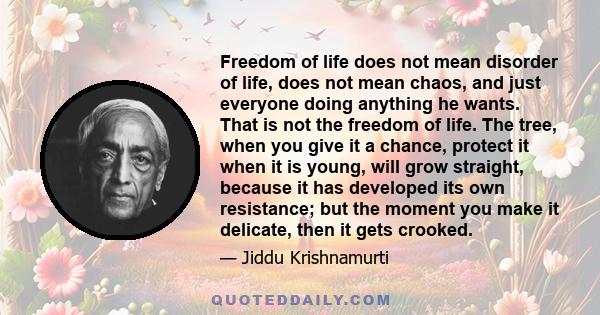 Freedom of life does not mean disorder of life, does not mean chaos, and just everyone doing anything he wants. That is not the freedom of life. The tree, when you give it a chance, protect it when it is young, will