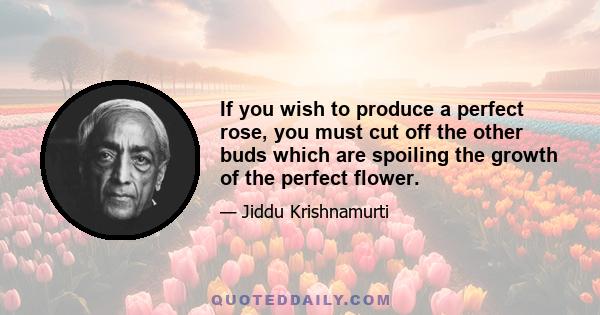 If you wish to produce a perfect rose, you must cut off the other buds which are spoiling the growth of the perfect flower.