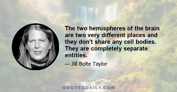 The two hemispheres of the brain are two very different places and they don't share any cell bodies. They are completely separate entities.