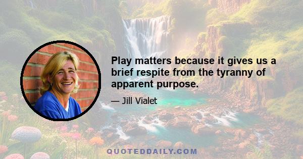 Play matters because it gives us a brief respite from the tyranny of apparent purpose.