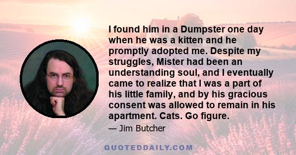 I found him in a Dumpster one day when he was a kitten and he promptly adopted me. Despite my struggles, Mister had been an understanding soul, and I eventually came to realize that I was a part of his little family,