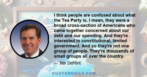 I think people are confused about what the Tea Party is. I mean, they were a broad cross-section of Americans who came together concerned about our debt and our spending. And they're interested in constitutional,