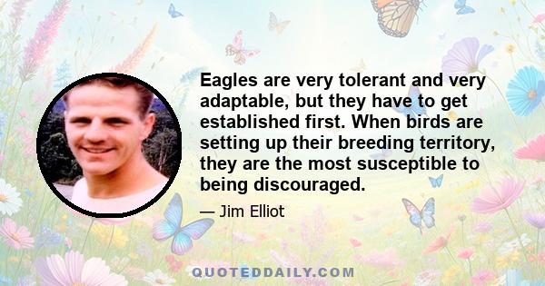 Eagles are very tolerant and very adaptable, but they have to get established first. When birds are setting up their breeding territory, they are the most susceptible to being discouraged.