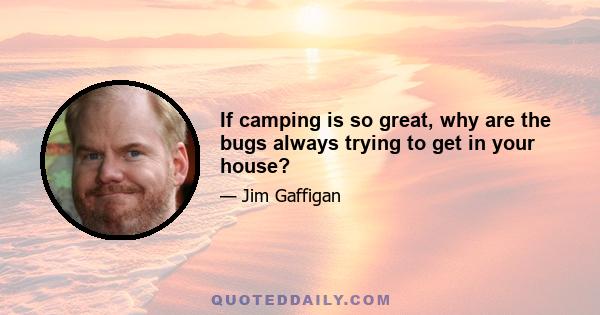 If camping is so great, why are the bugs always trying to get in your house?