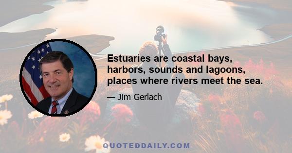 Estuaries are coastal bays, harbors, sounds and lagoons, places where rivers meet the sea.