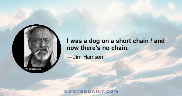 I was a dog on a short chain / and now there's no chain.